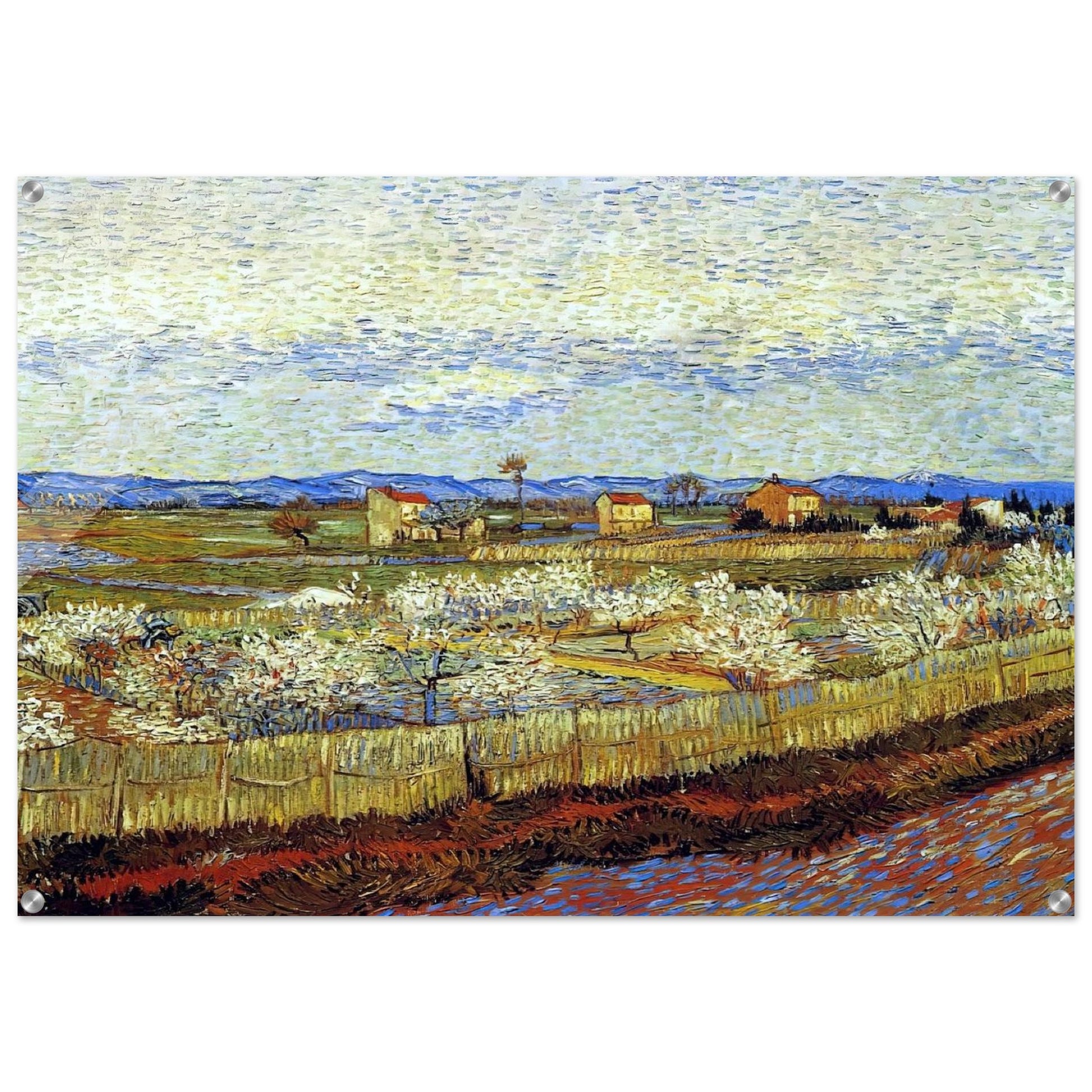Peach Trees in Blossom - Vincent van Gogh Acrylic Print - 70x100 cm / 28x40″ inches