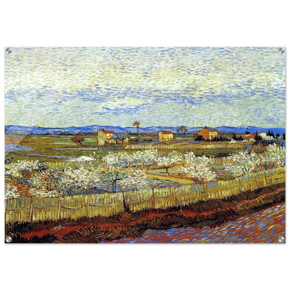 Peach Trees in Blossom - Vincent van Gogh Acrylic Print - 70x100 cm / 28x40″ inches