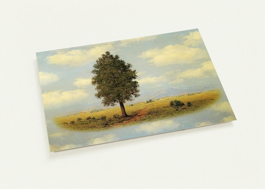 428a5054-bf61-4d31-89fd-73e97214e13e