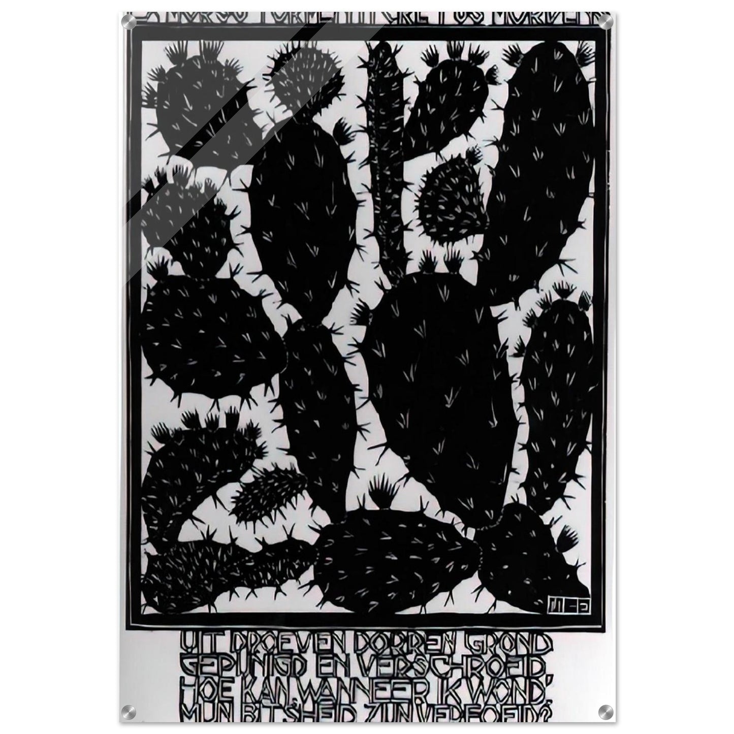 EMBLEMATA CACTUS - MC Escher Acrylic Print - 70x100 cm / 28x40″ inches | MC Escher Wall Art | MC Escher Prints