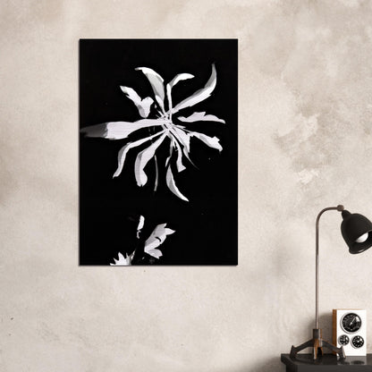 Changing patterns - Laszlo Moholy-Nagy Brushed Aluminum Print - 70x100 cm / 28x40 inches | Laszlo Moholy-Nagy Aluminum Print | Laszlo Moholy-Nagy Prints