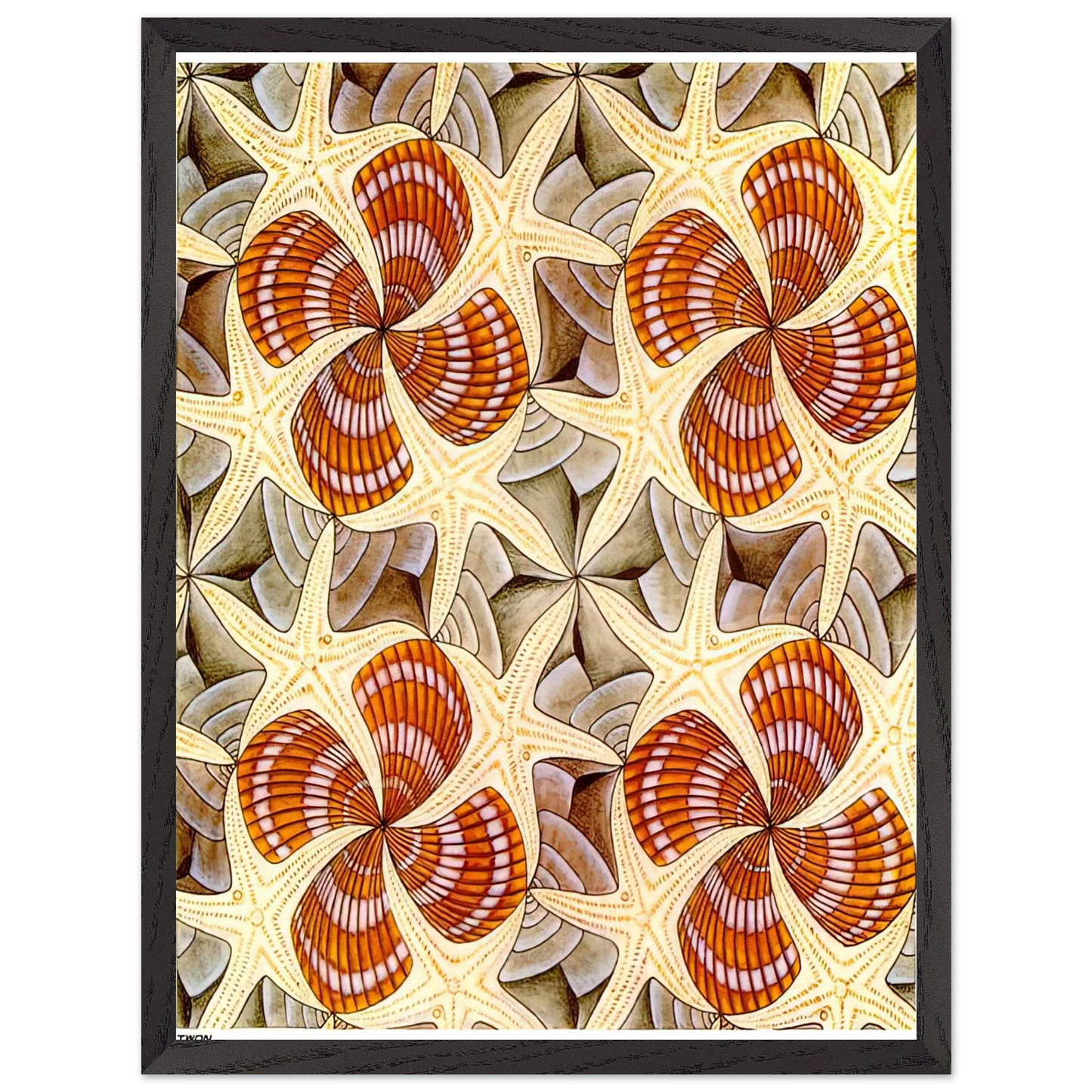 MC Escher - SHELLS AND STARFISH Wall Art - 60x80 cm / 24x32 inches - Premium Wooden Framed Poster With Fine Art Paper - Black frame