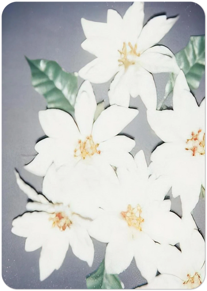 43e52f01-c901-4b14-a8eb-dff09e83b3d8