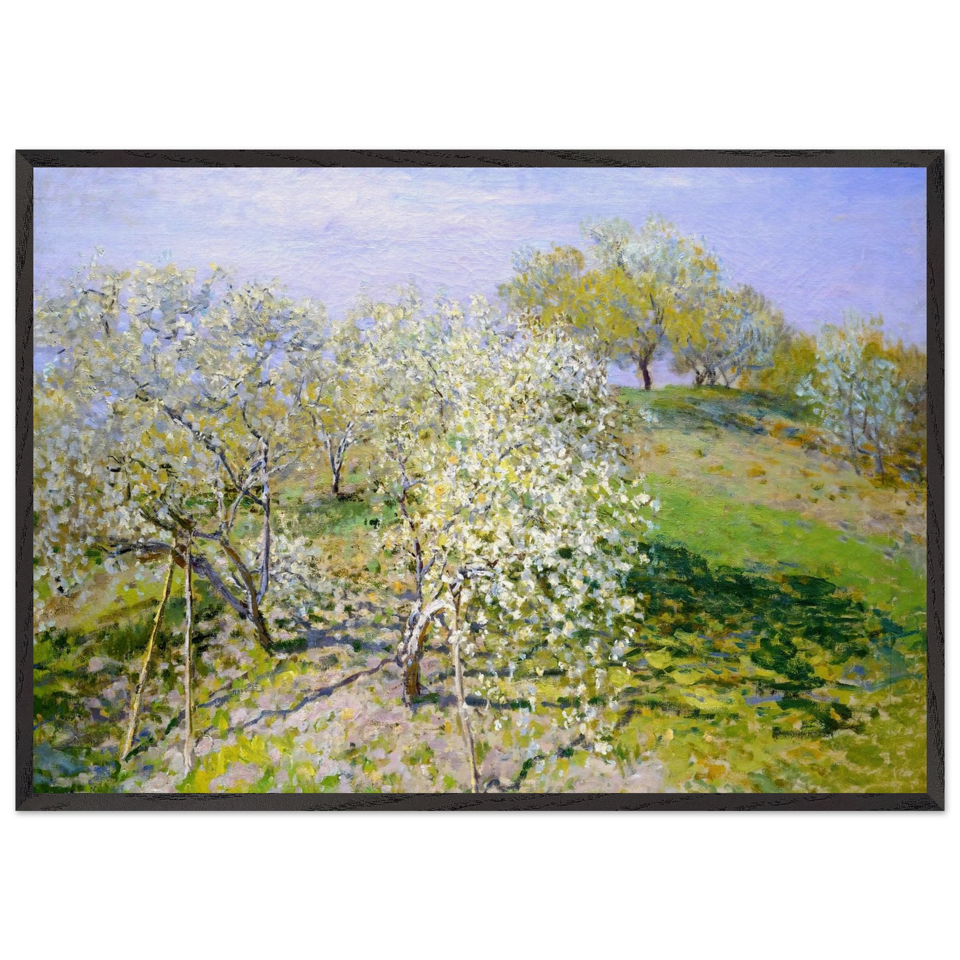 Apple Trees in Bloom - claude monet Framed Art Print – Black Wooden Frame - Default Title - -Framed Art Print