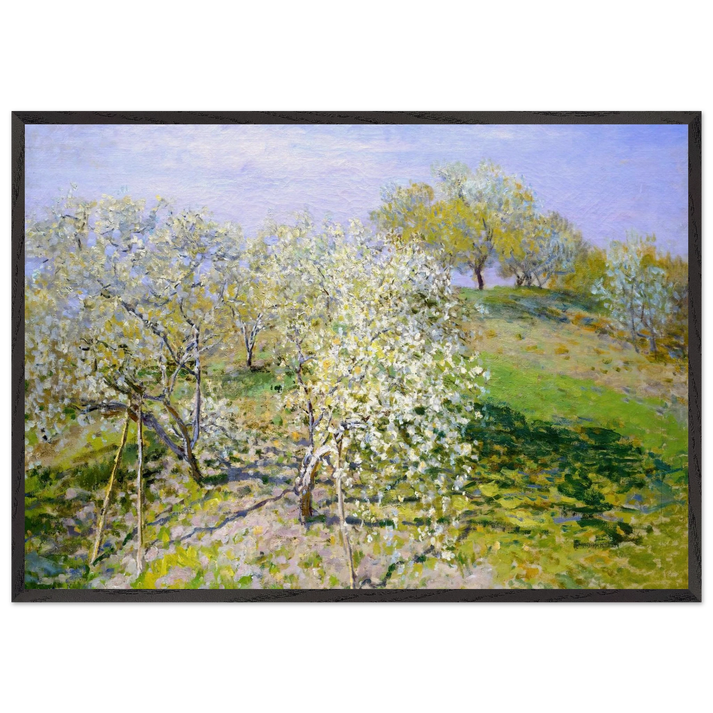 Apple Trees in Bloom - claude monet 70x100 cm / 28x40 inches Framed Art Print – Black Wooden Frame