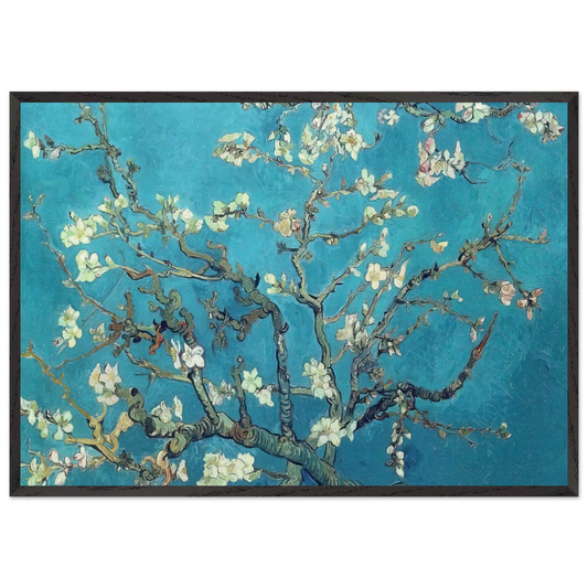 Branches with Almond Blossom - Vincent van Gogh 70x100 cm / 28x40 inches Framed Art Print – Black Wooden Frame