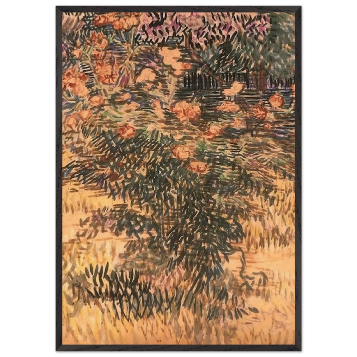 Oleanders the Hospital Garden at Saint-Remy - Vincent van Gogh 70x100 cm / 28x40 inches Framed Art Print – Black Wooden Frame