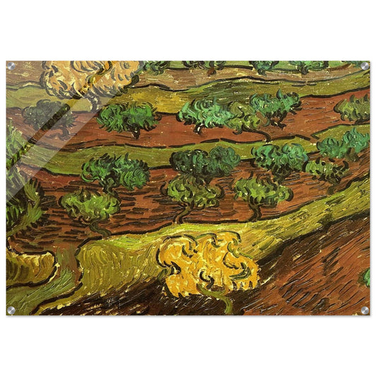 Olive Trees against a Slope of a Hill - Vincent van Gogh Acrylic Print - 70x100 cm / 28x40″ inches | Vincent van Gogh Wall Art | Vincent van Gogh Prints