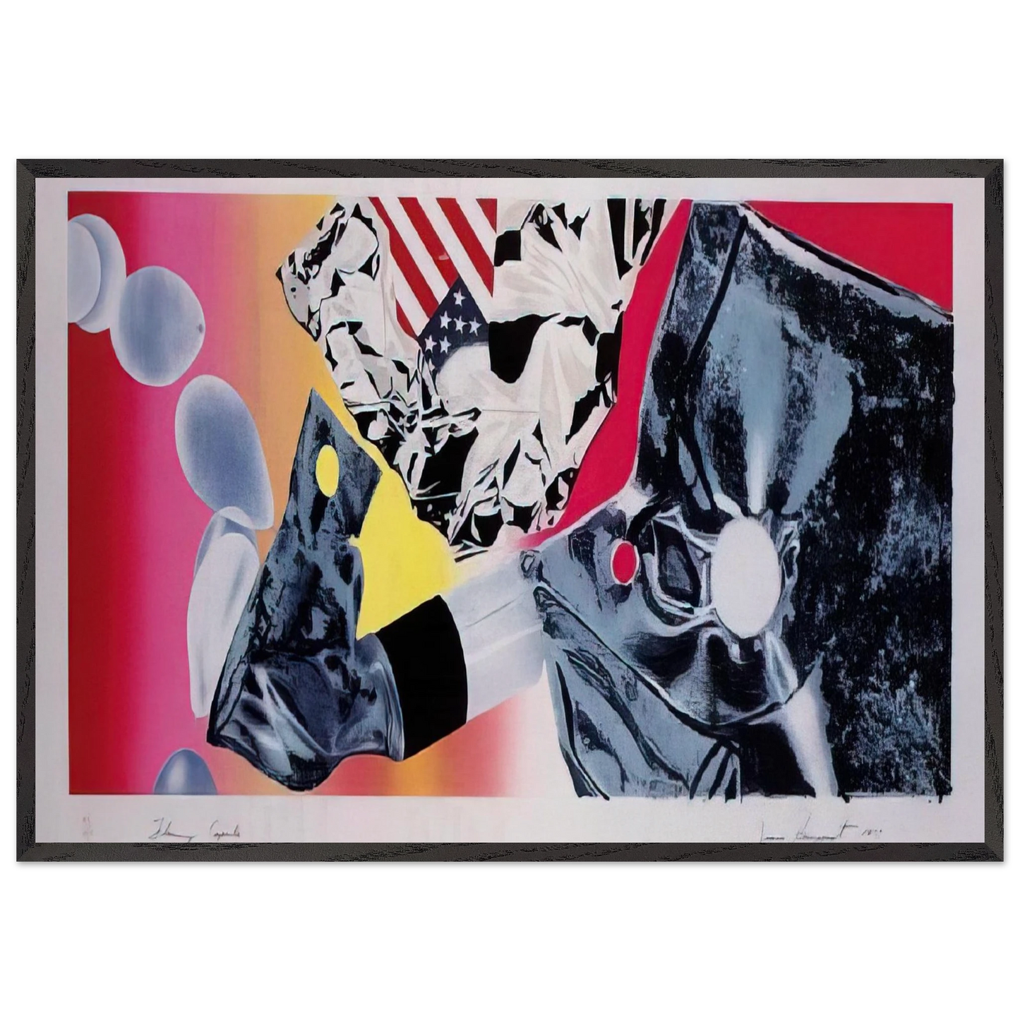 Flamingo Capsule - James Rosenquist Framed Art Print – Black Wooden Frame - Default Title - -Framed Art Print