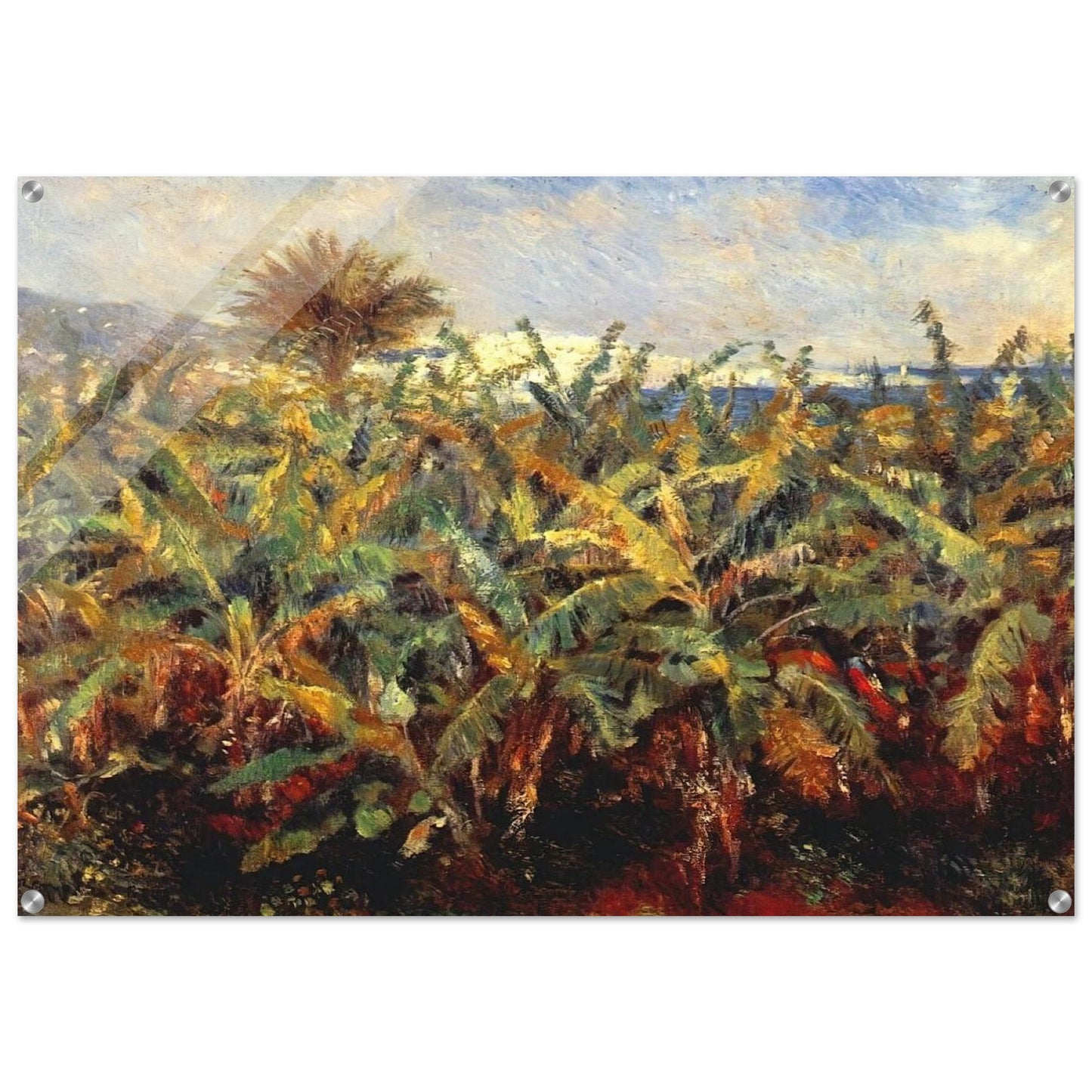 Field of Banana Trees - Pierre-Auguste Renoir Acrylic Print - 70x100 cm / 28x40″ inches | Pierre-Auguste Renoir Wall Art | Pierre-Auguste Renoir Prints