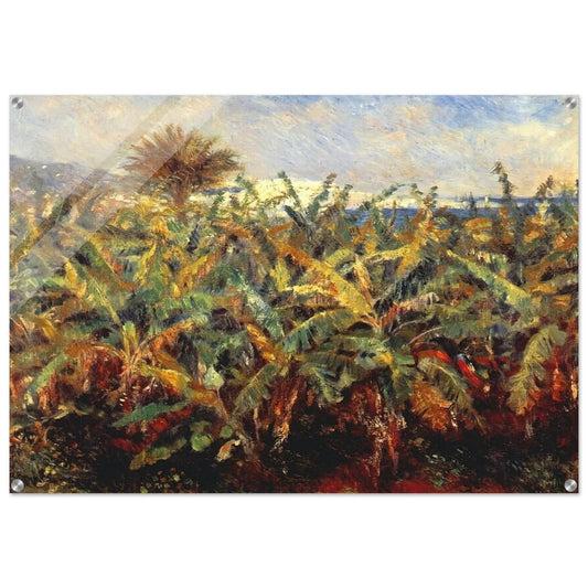 Field of Banana Trees - Pierre-Auguste Renoir Acrylic Print - 70x100 cm / 28x40″ inches | Pierre-Auguste Renoir Wall Art | Pierre-Auguste Renoir Prints