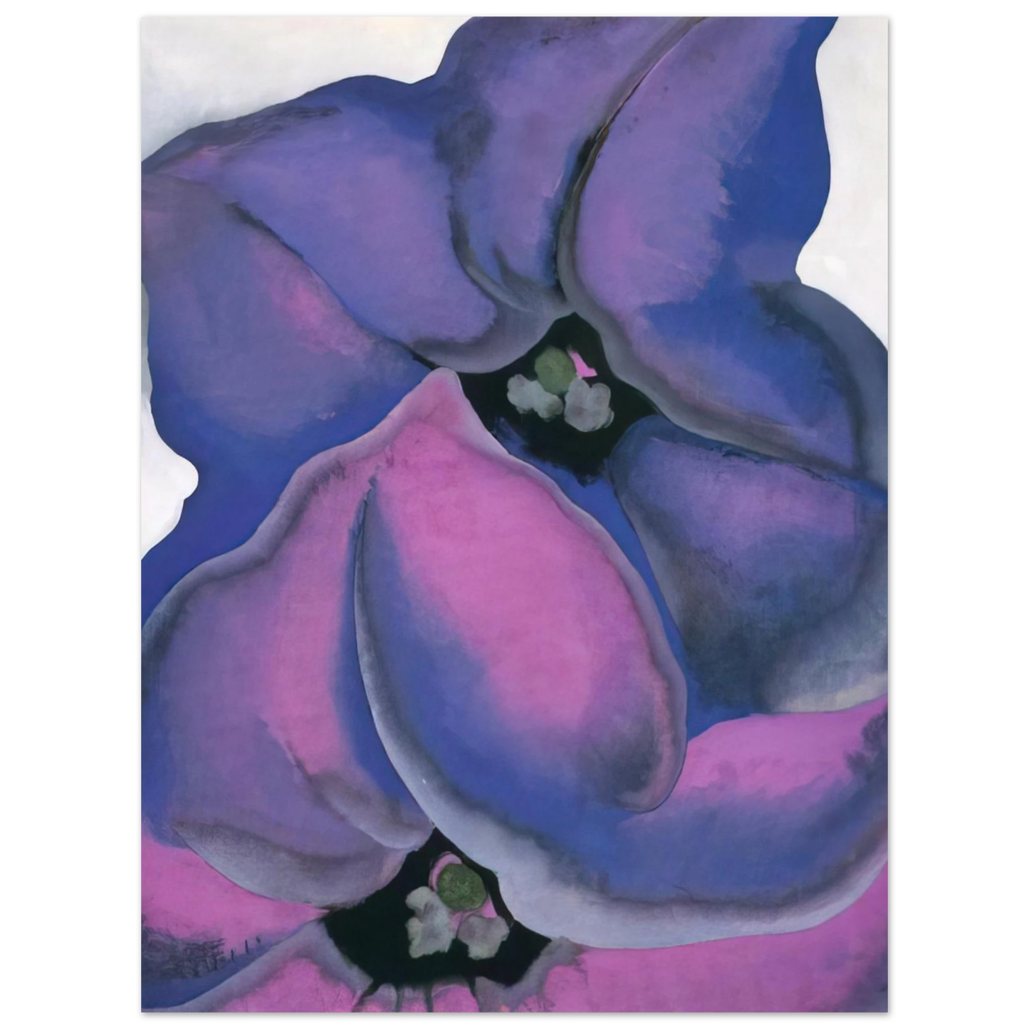 Georgia O'Keeffe - Purple Petunias Fine Art Poster - 13x18 cm / 5x7 inches