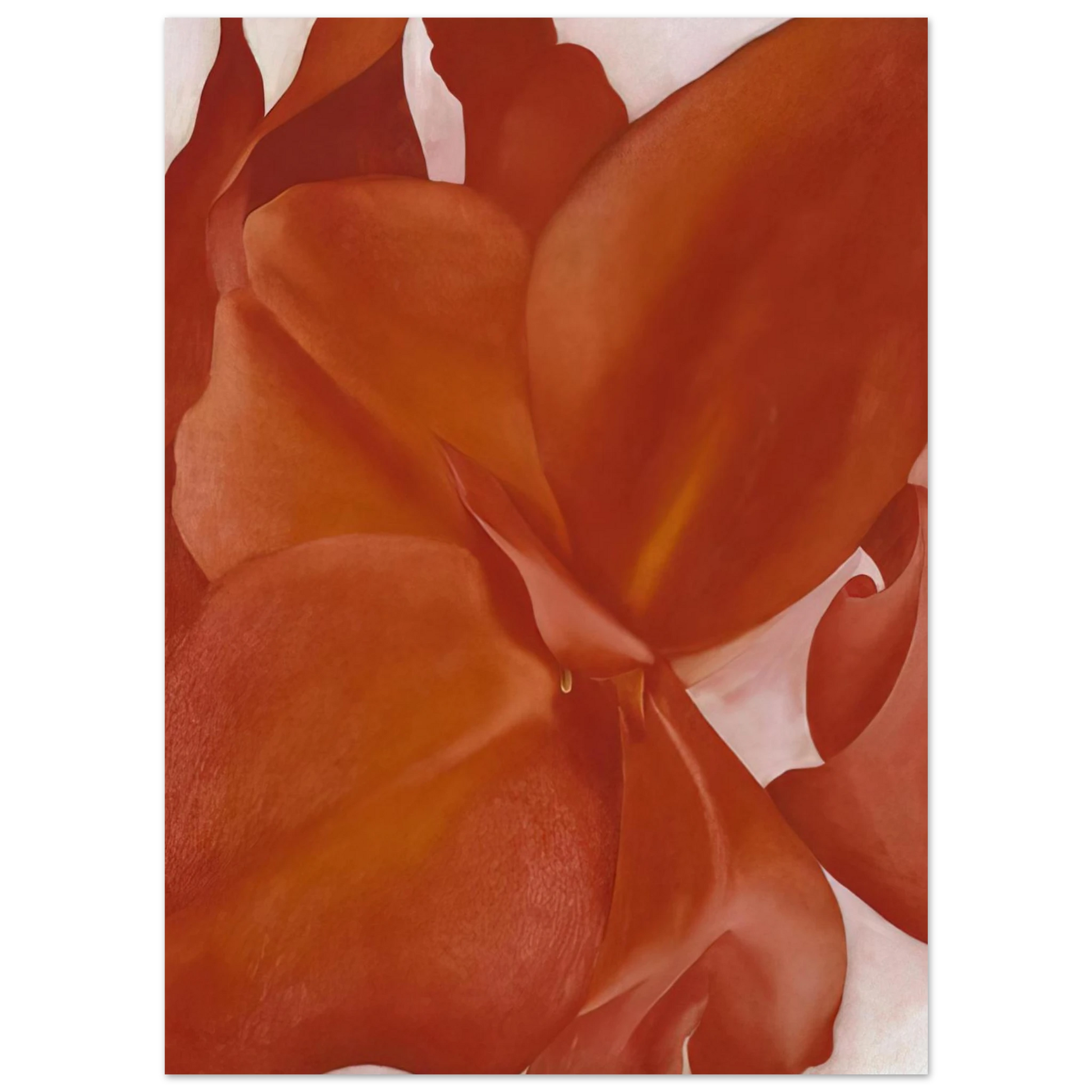 Georgia O'Keeffe - Red Cannas Fine Art Poster - 40x60 cm / 16x24 inches