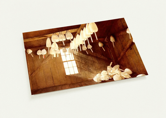 482734fb-d5c2-48cb-8387-0c38603f45f8