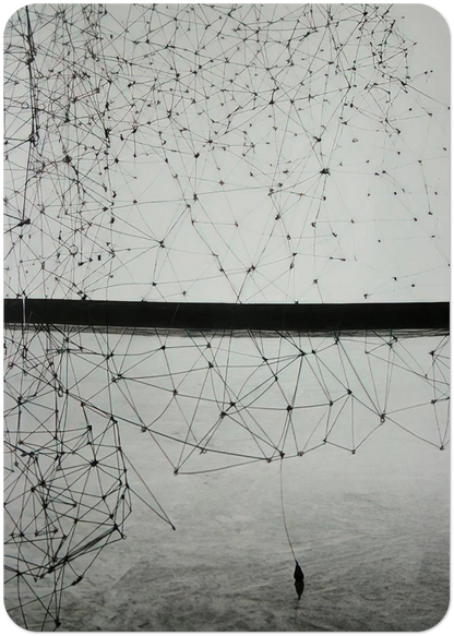 4870667c-162e-4c74-9e36-0dc3a07c5134