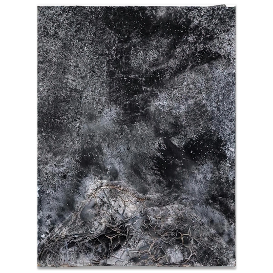 Anselm Kiefer - THE SECRET LIFE OF PLANTS FOR ROBERT FLUDD 2014 Fine Art Poster - Default Title