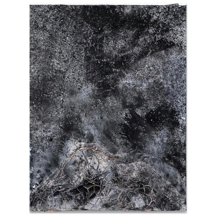 Anselm Kiefer - THE SECRET LIFE OF PLANTS FOR ROBERT FLUDD 2014  75x100 cm / 30x40inches Fine Art Poster