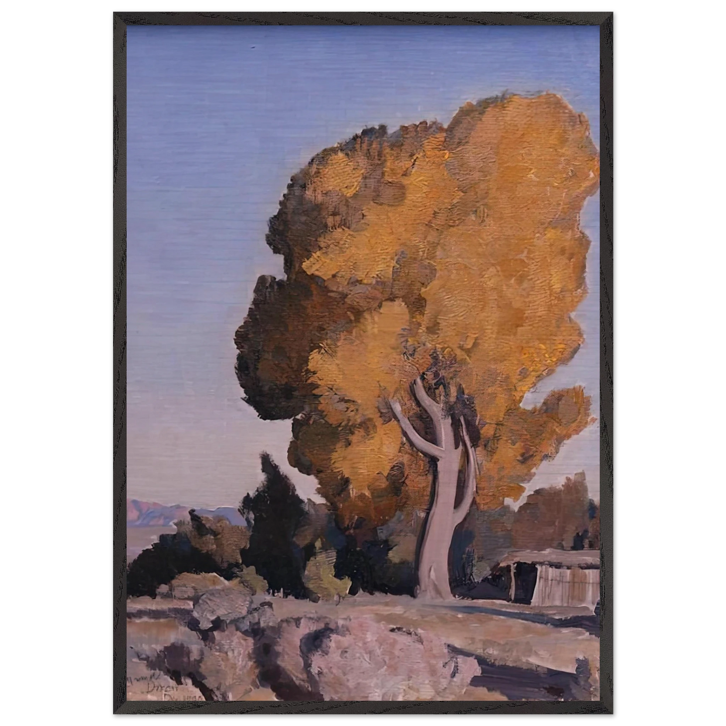 LOW COUNTRY COTTONWOOD 1940 - Maynard Dixon Framed Art Print – Black Wooden Frame - Default Title - -Framed Art Print