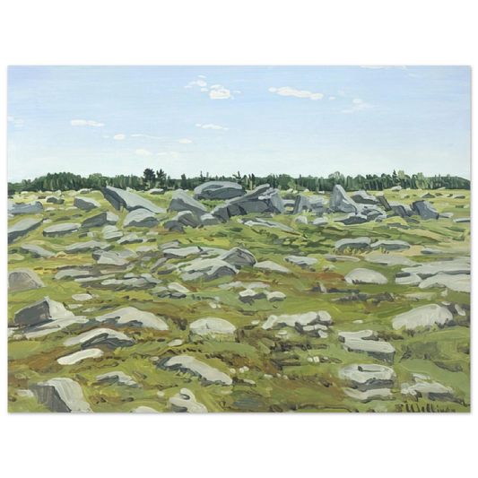 Neil Welliver - Study for Midday Barren - 1972 Fine Art Poster - Default Title