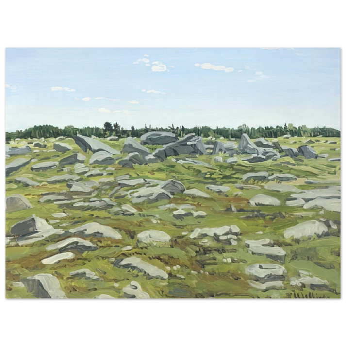 Neil Welliver - Study for Midday Barren - 1972  75x100 cm / 30x40inches Fine Art Poster