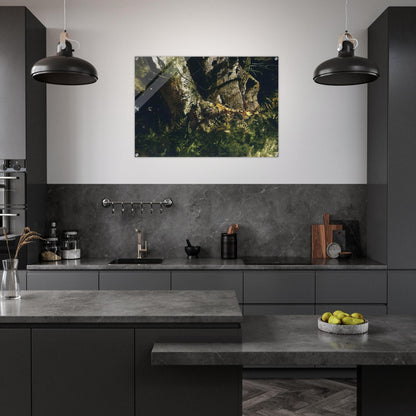 4a8578d3-5325-4de2-8602-42f3c4e90d05