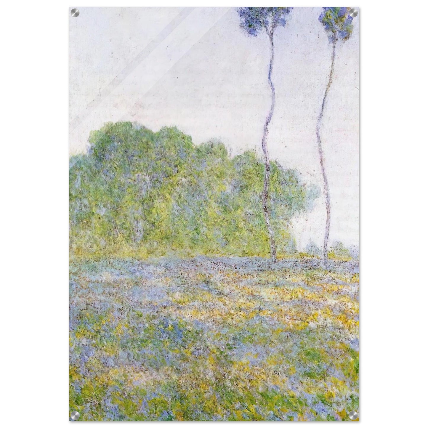 Springtime. Meadow at Giverny - claude monet Acrylic Print - 70x100 cm / 28x40″ inches