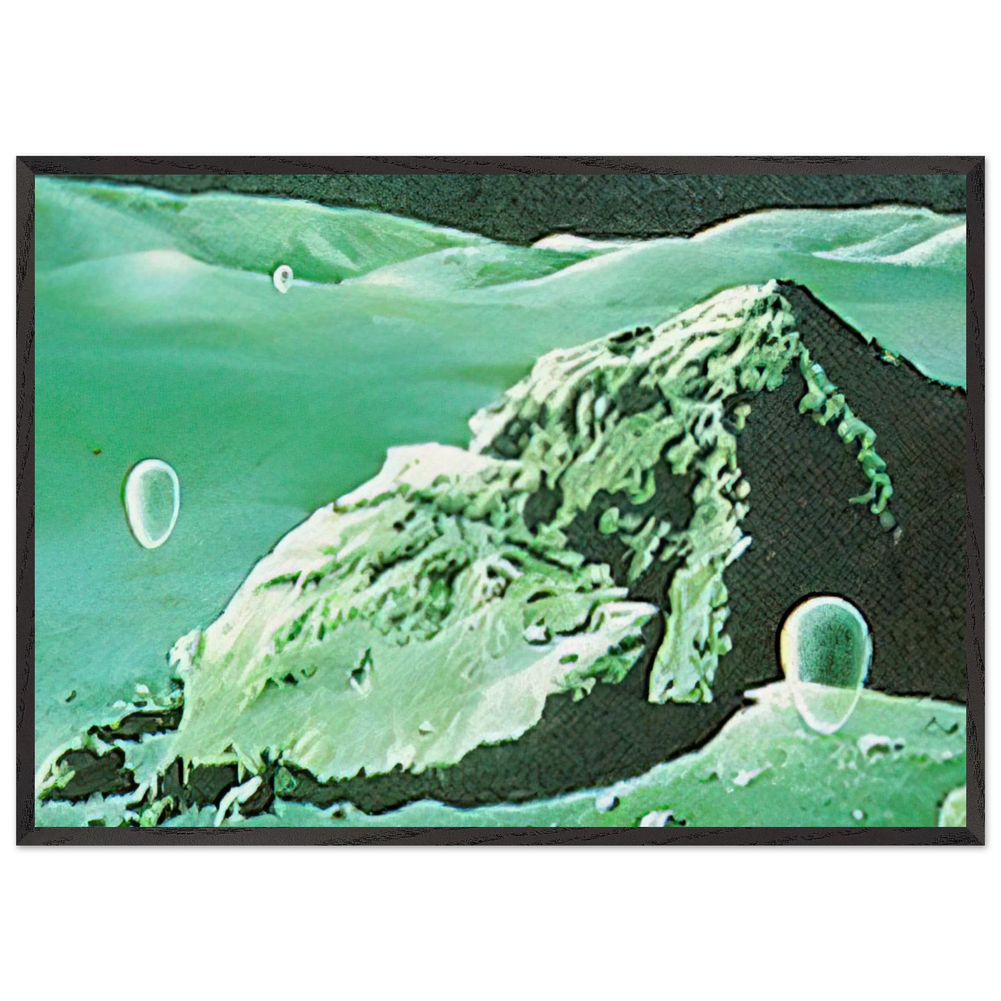 Eschantos 15 - 1980 - Clarence Holbrook Carter Framed Art Print – Black Wooden Frame - Default Title - -Framed Art Print