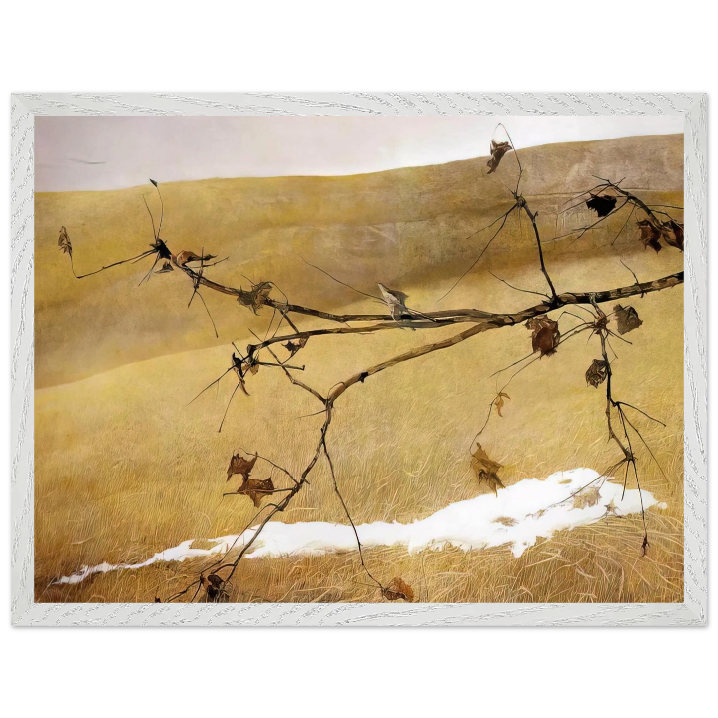Andrew Wyeth - LONG LIMB Wall Art - 21x29.7 cm / 8x12" - Premium Wooden Framed Poster With Fine Art Paper - White frame