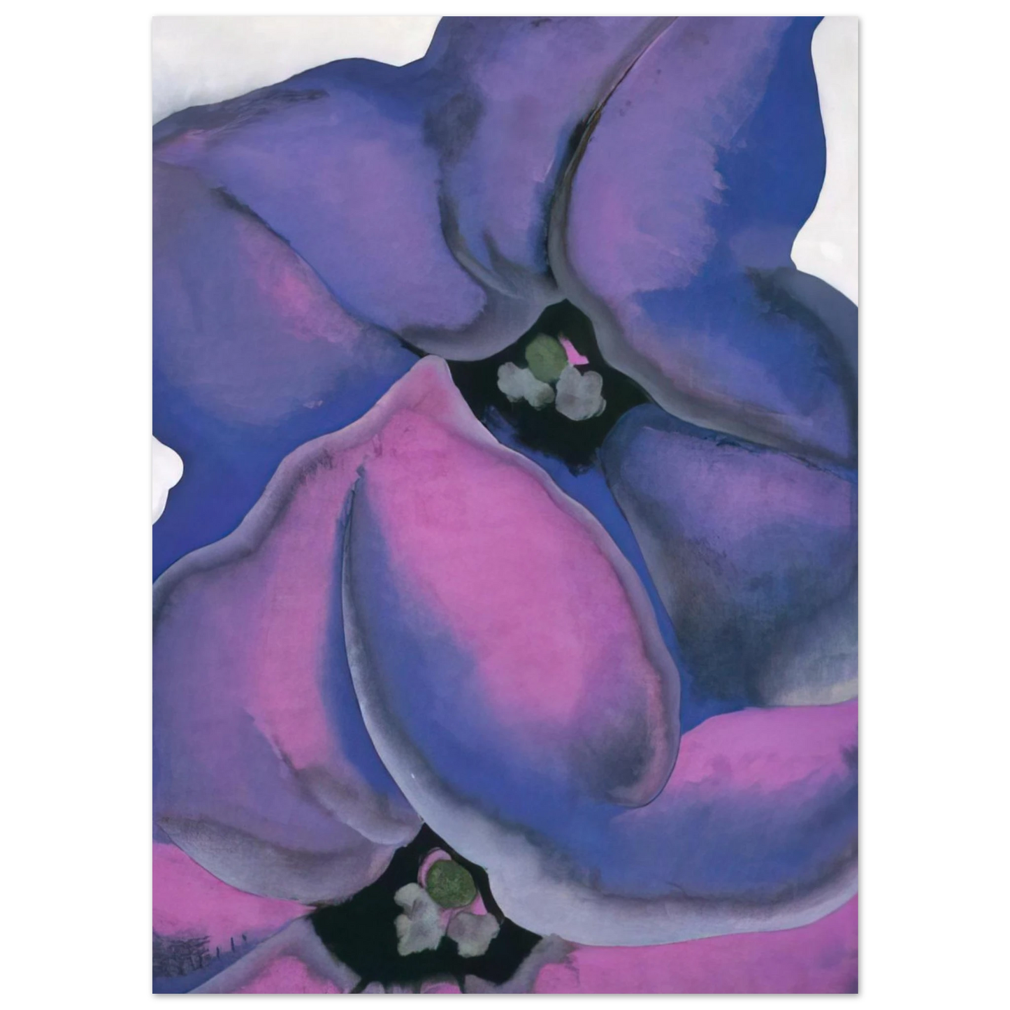 Georgia O'Keeffe - Purple Petunias Fine Art Poster - 40x60 cm / 16x24 inches