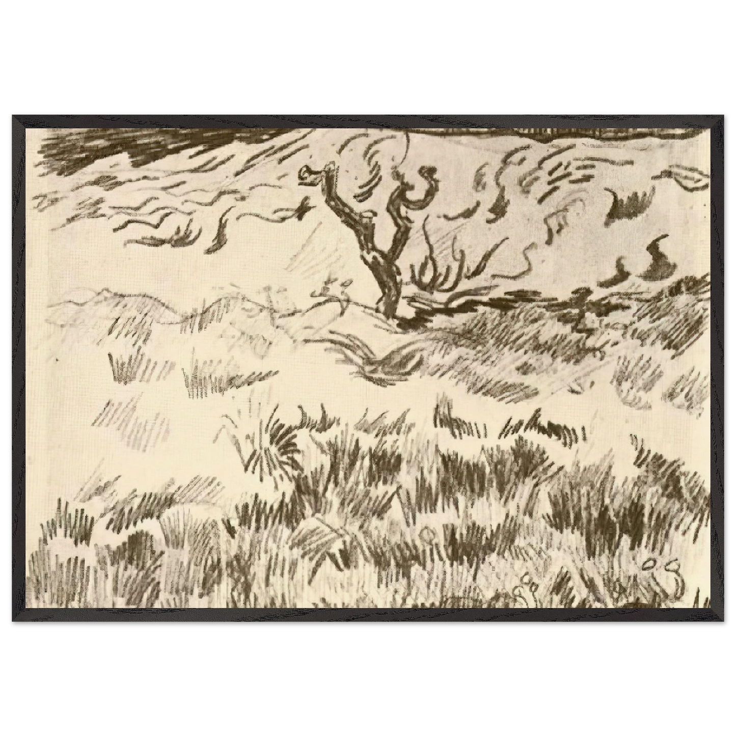 Field with Bare Tree - Vincent van Gogh Framed Art Print – Black Wooden Frame - Default Title - -Framed Art Print