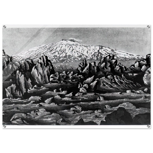 ESCHER (15) - MC Escher Acrylic Print - 70x100 cm / 28x40″ inches | MC Escher Wall Art | MC Escher Prints