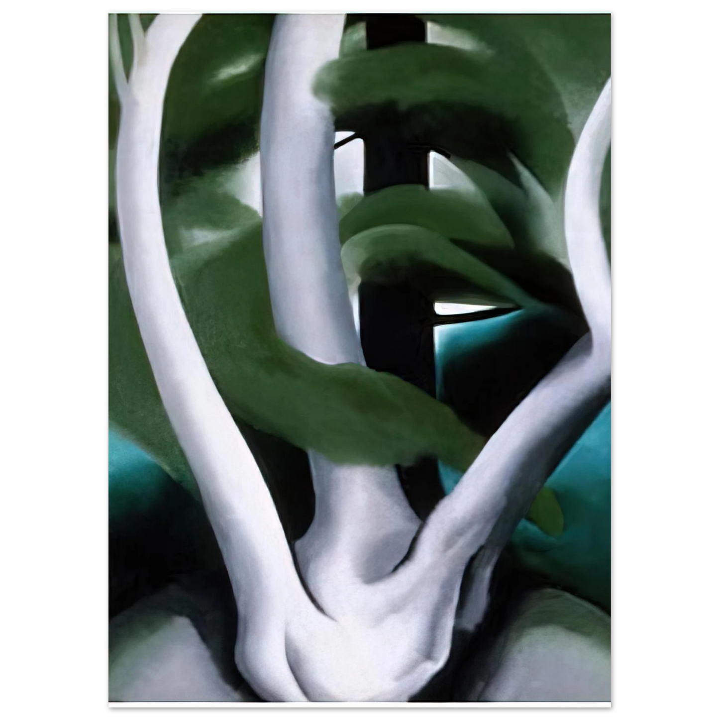 Georgia O'Keeffe - Birch and Pine Tree No. 1 Fine Art Poster - 75x100 cm / 30x40 inches