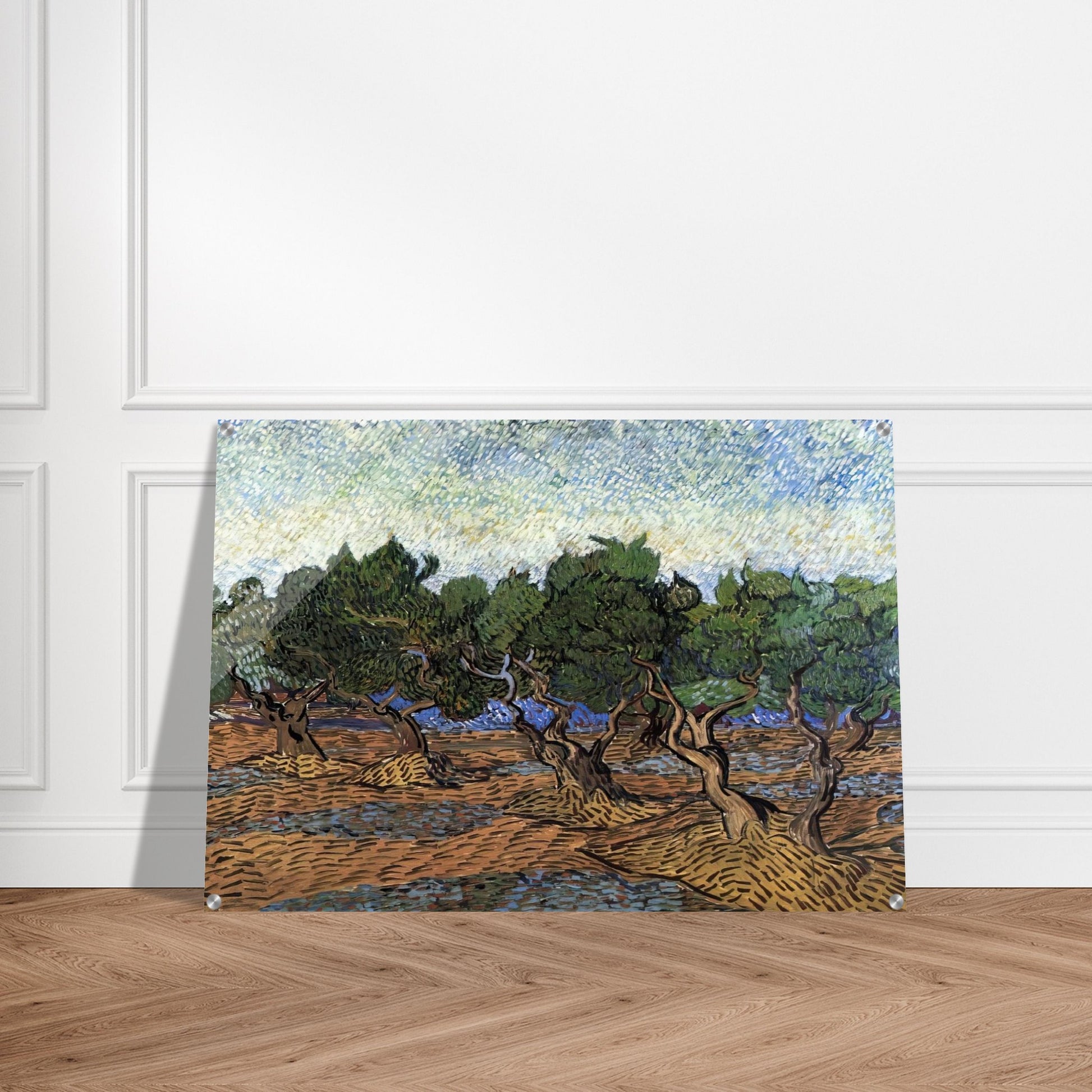 Olive Grove - Vincent van Gogh Acrylic Print - 70x100 cm / 28x40″ inches