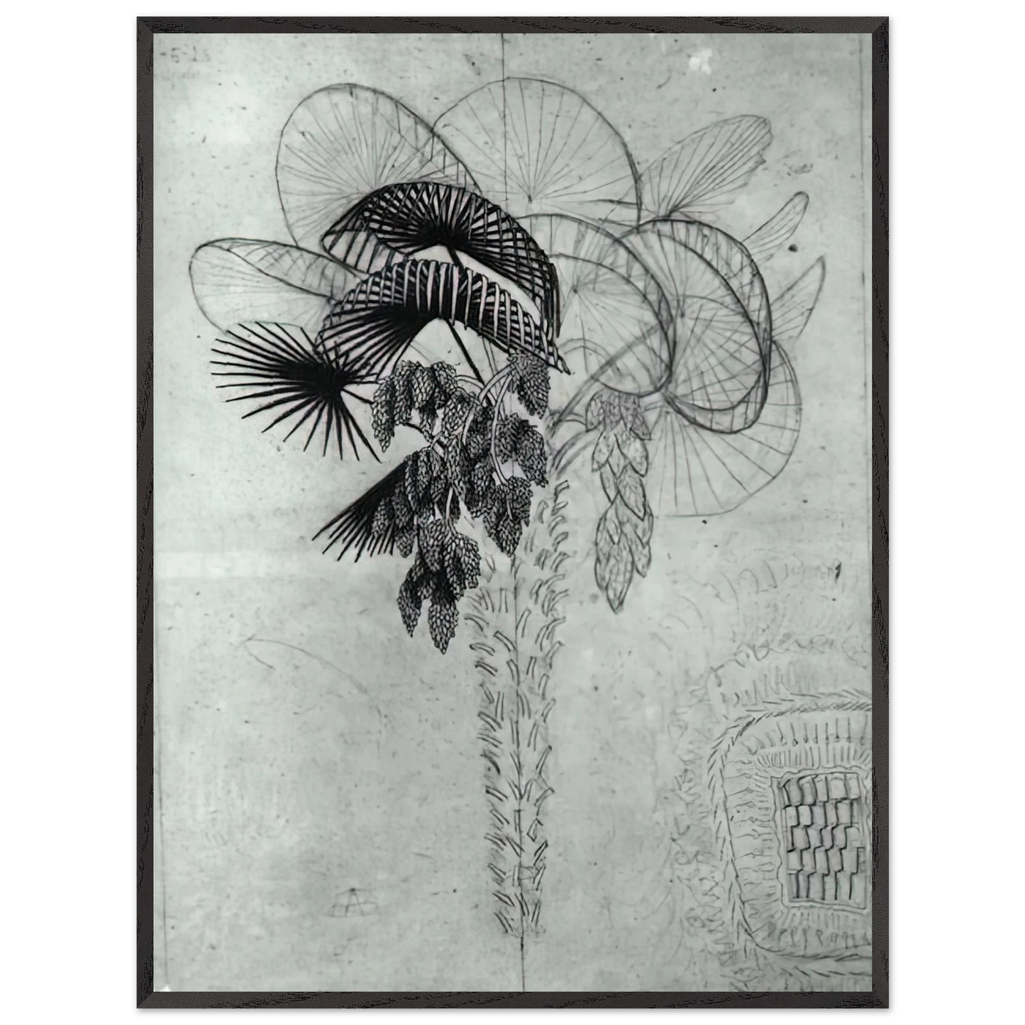 MC Escher - PALM TREE SKETCH Wall Art - 30x40 cm / 12x16 inches - Premium Wooden Framed Poster With Fine Art Paper - White frame