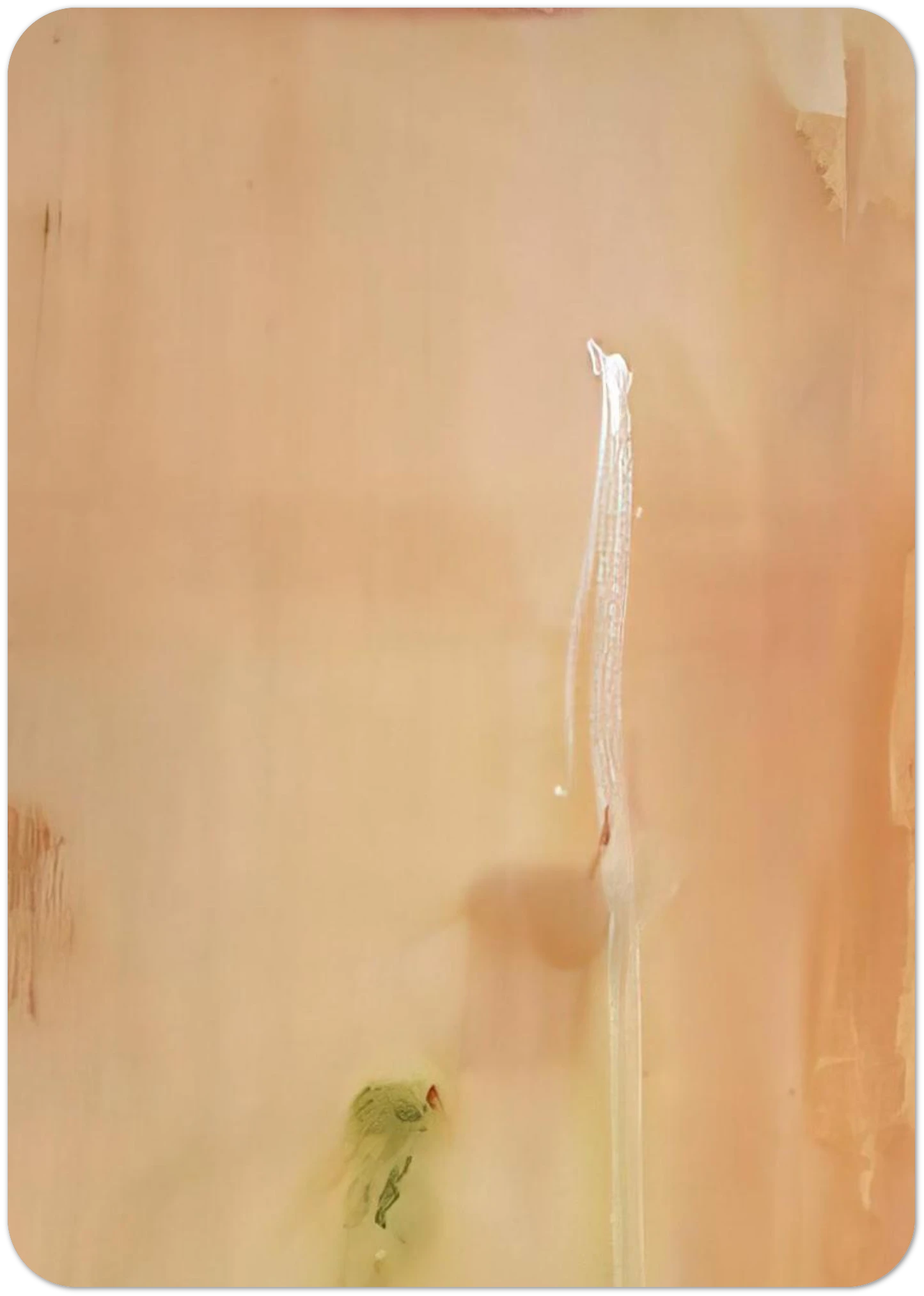 515e9821-51bd-44ff-aa96-3b746f17916f