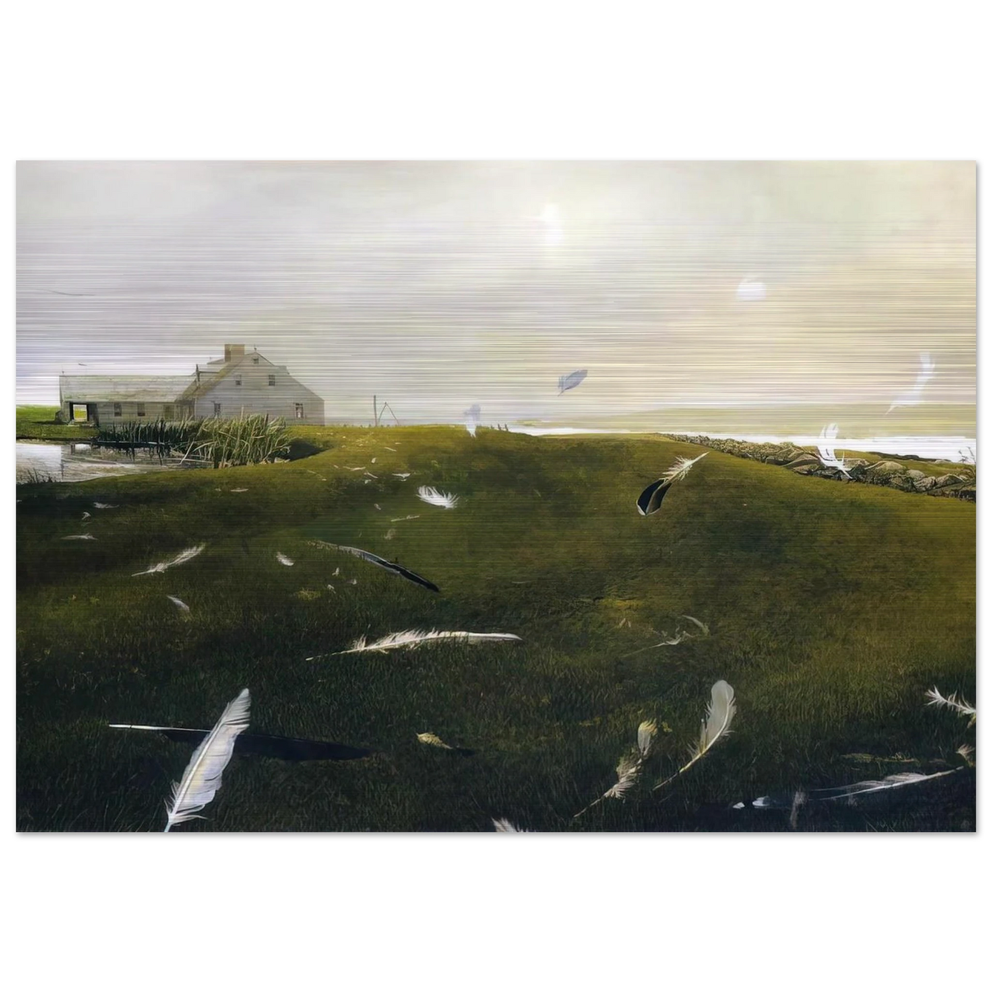 51d146dc-5fd8-4fa0-8686-c74e4fbbc3c2