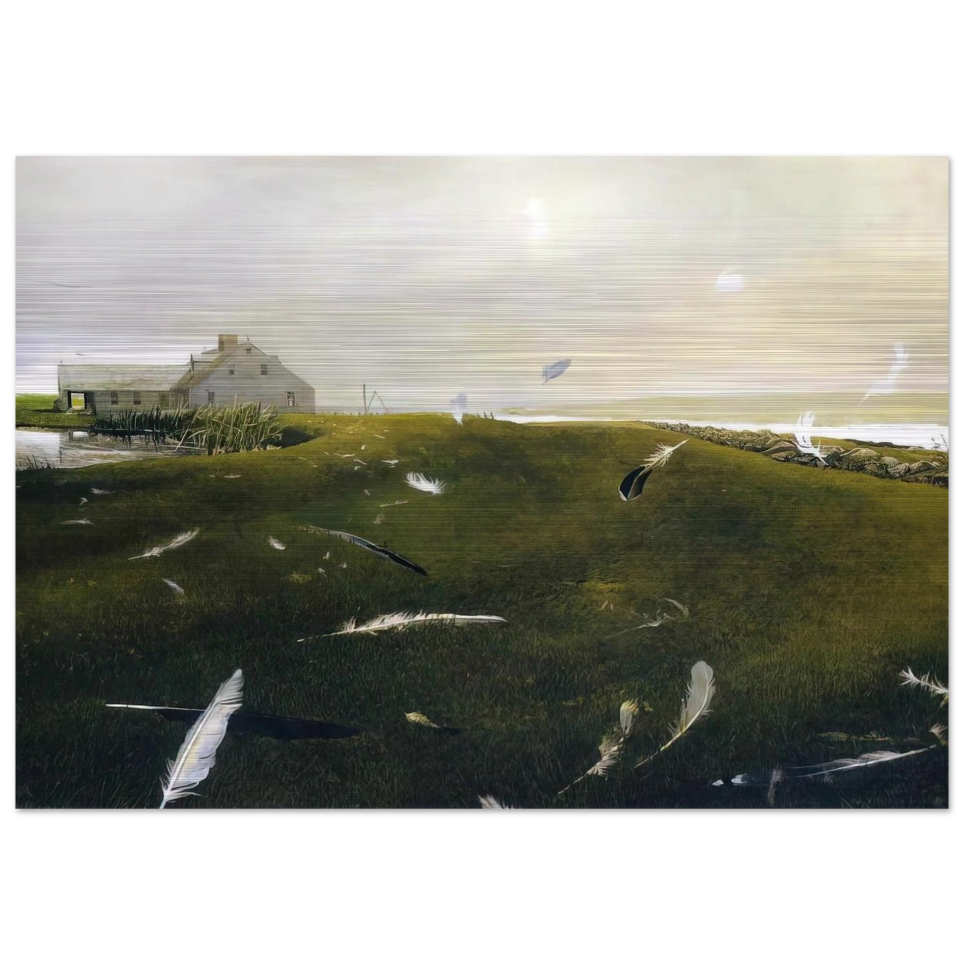 51d146dc-5fd8-4fa0-8686-c74e4fbbc3c2