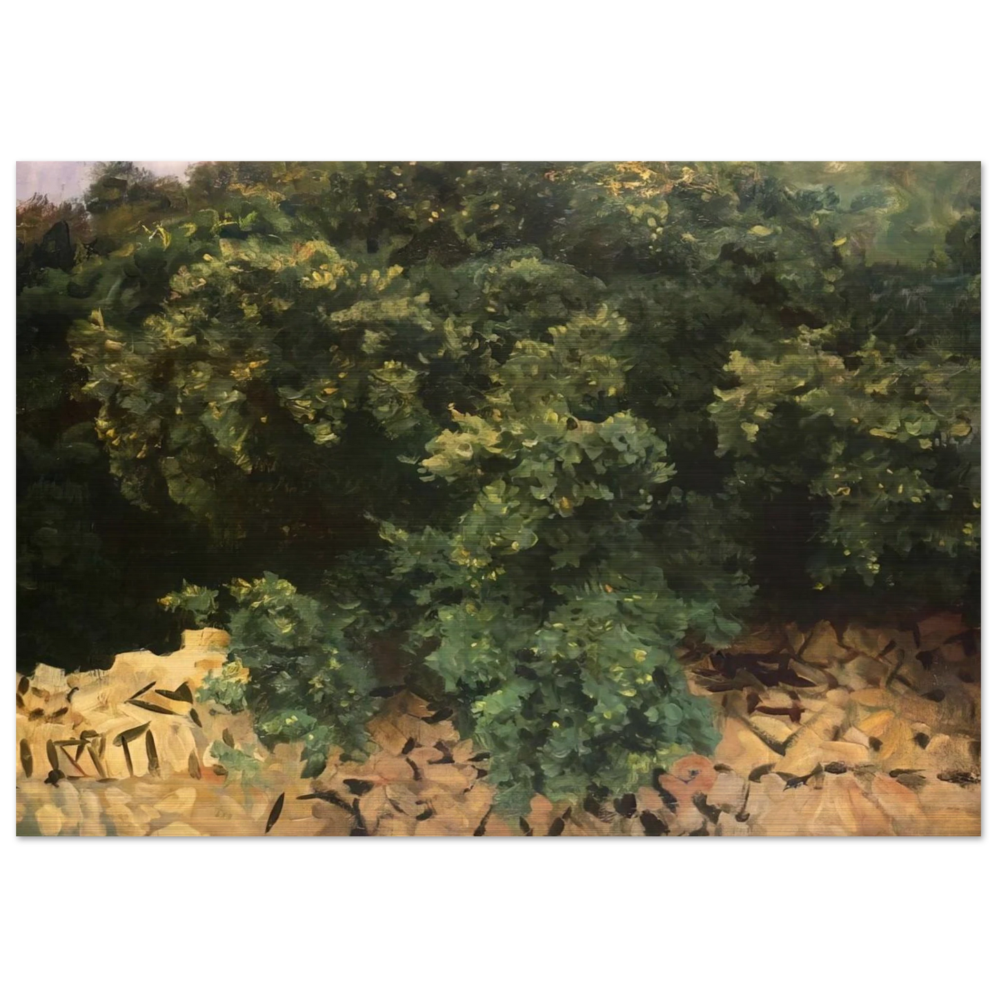Ilex Wood, Majorca - John Singer Sargent Brushed Aluminum Print - 70x100 cm / 28x40 inches | John Singer Sargent Aluminum Print | John Singer Sargent Prints