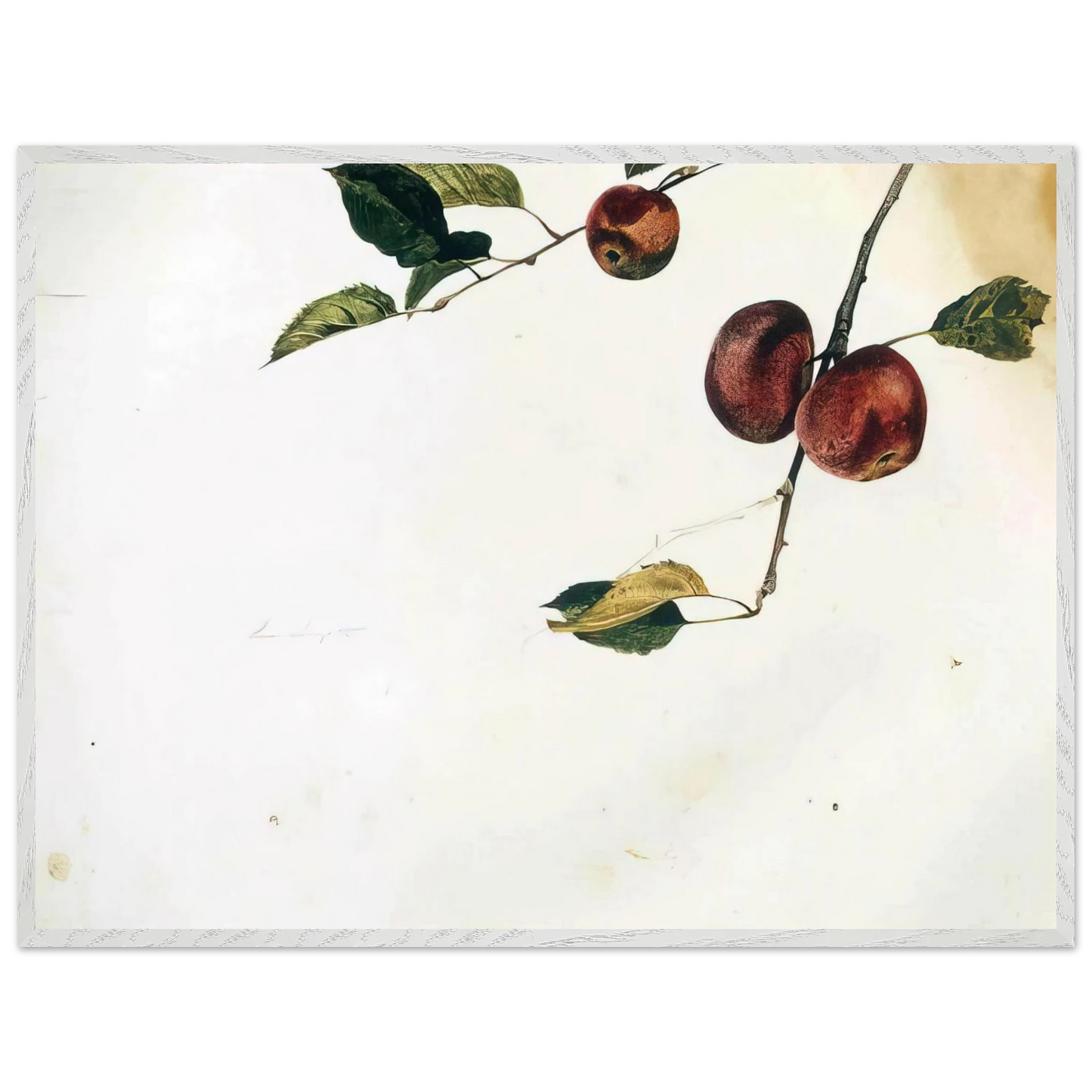 Andrew Wyeth - APPLES ON A BOUGH STUDY BEFORE PICKING Wall Art - 30x40 cm / 12x16 inches - Premium Wooden Framed Poster With Fine Art Paper - Wood frame