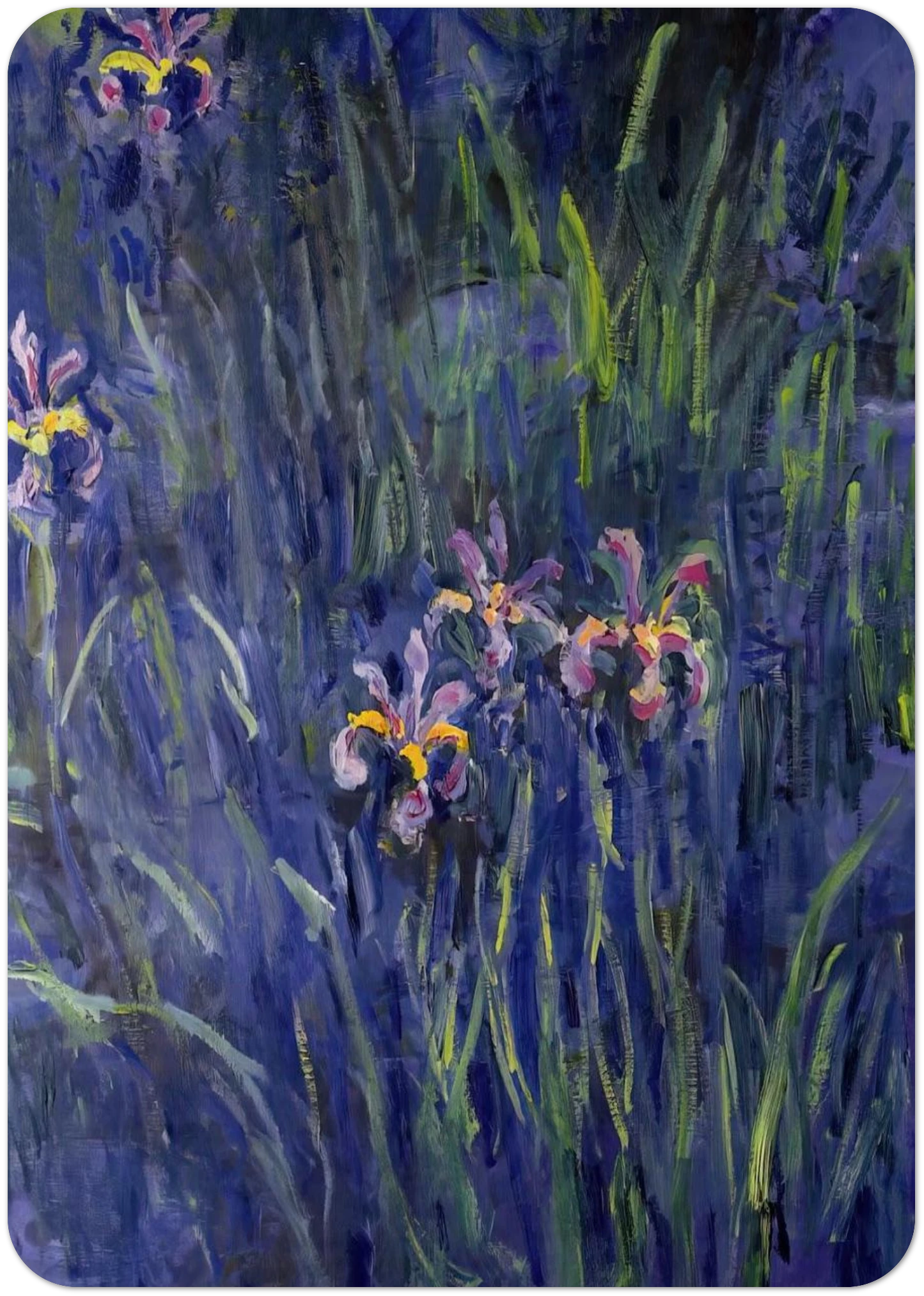 Irises 2 By claude monet Pack of 10 Post Cards | claude monet Post Cards | A6 (10.5 x 14.8 cm) - 4.1 x 5.8 inches