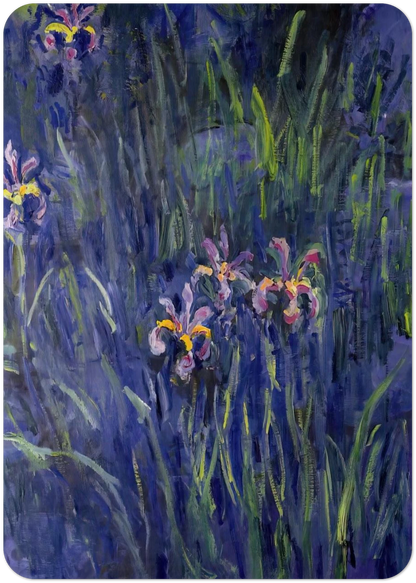 Irises 2 By claude monet Pack of 10 Post Cards | claude monet Post Cards | A6 (10.5 x 14.8 cm) - 4.1 x 5.8 inches