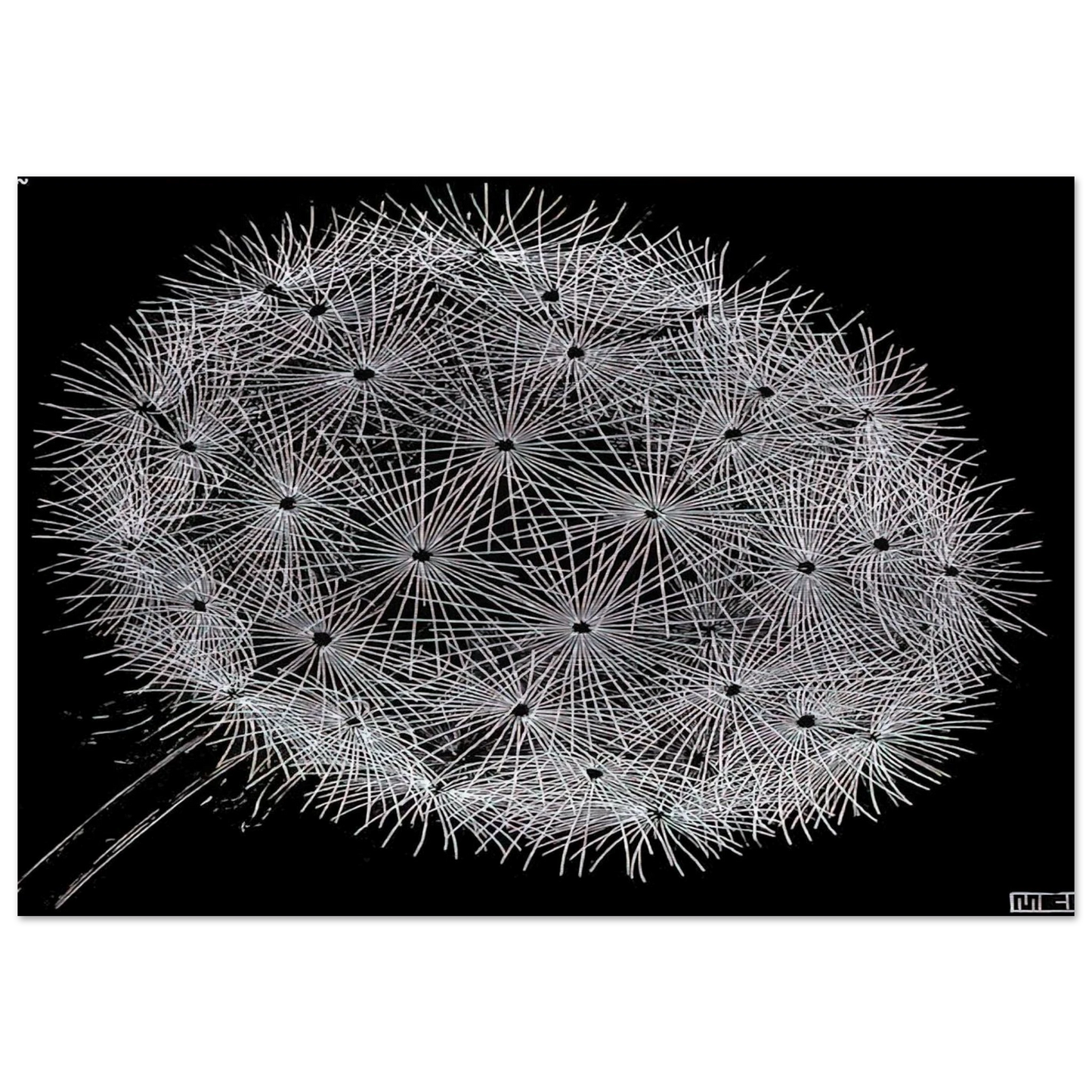 52c81d9e-7497-44c6-a474-a294bf36e829