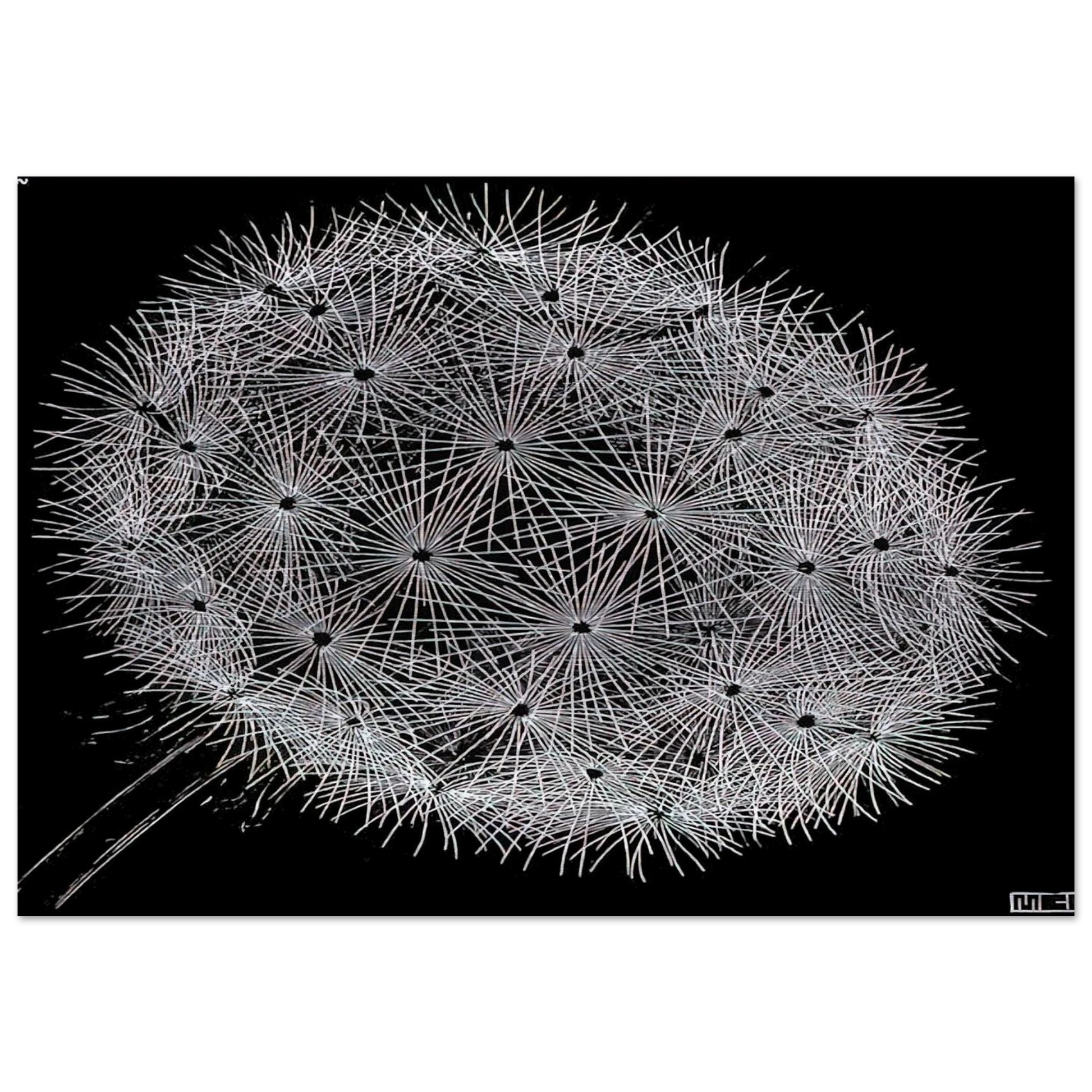 52c81d9e-7497-44c6-a474-a294bf36e829