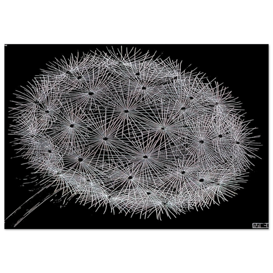 52c81d9e-7497-44c6-a474-a294bf36e829