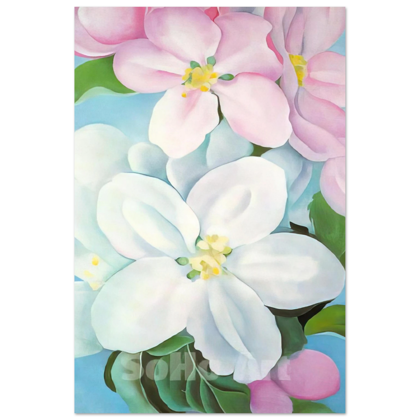Georgia O'Keeffe - Apple Blossoms Fine Art Poster - 40x60 cm / 16x24 inches