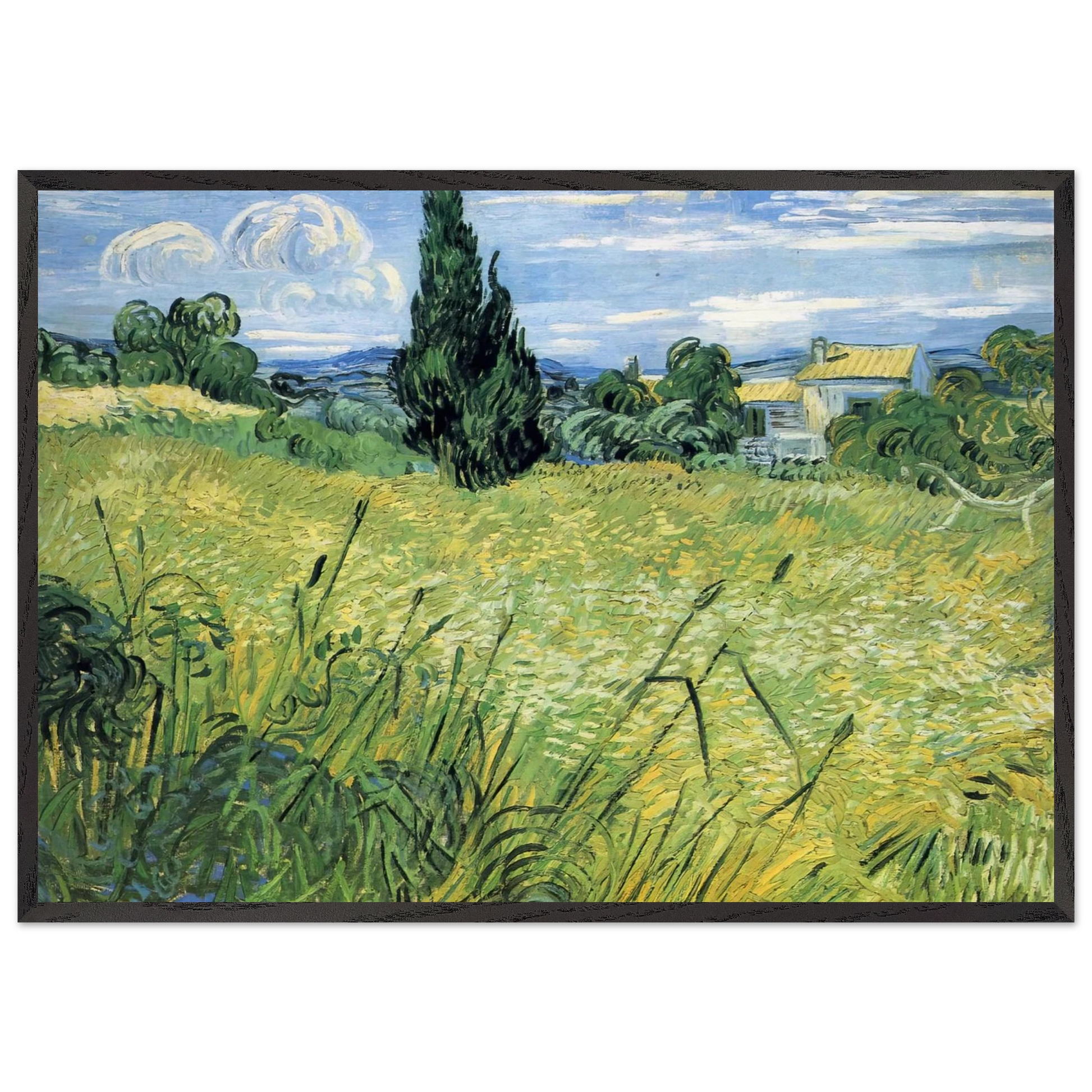 Green Wheat Field with Cypress - Vincent van Gogh Framed Art Print – Black Wooden Frame - Default Title - -Framed Art Print