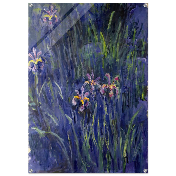 Irises 2 - claude monet Acrylic Print - 70x100 cm / 28x40″ inches | claude monet Wall Art | claude monet Prints