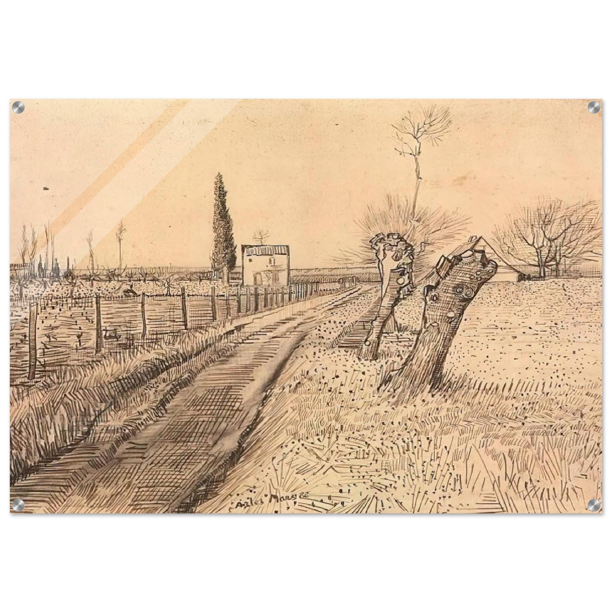 Landscape with Path and Pollard Trees - Vincent van Gogh Acrylic Print - 70x100 cm / 28x40″ inches
