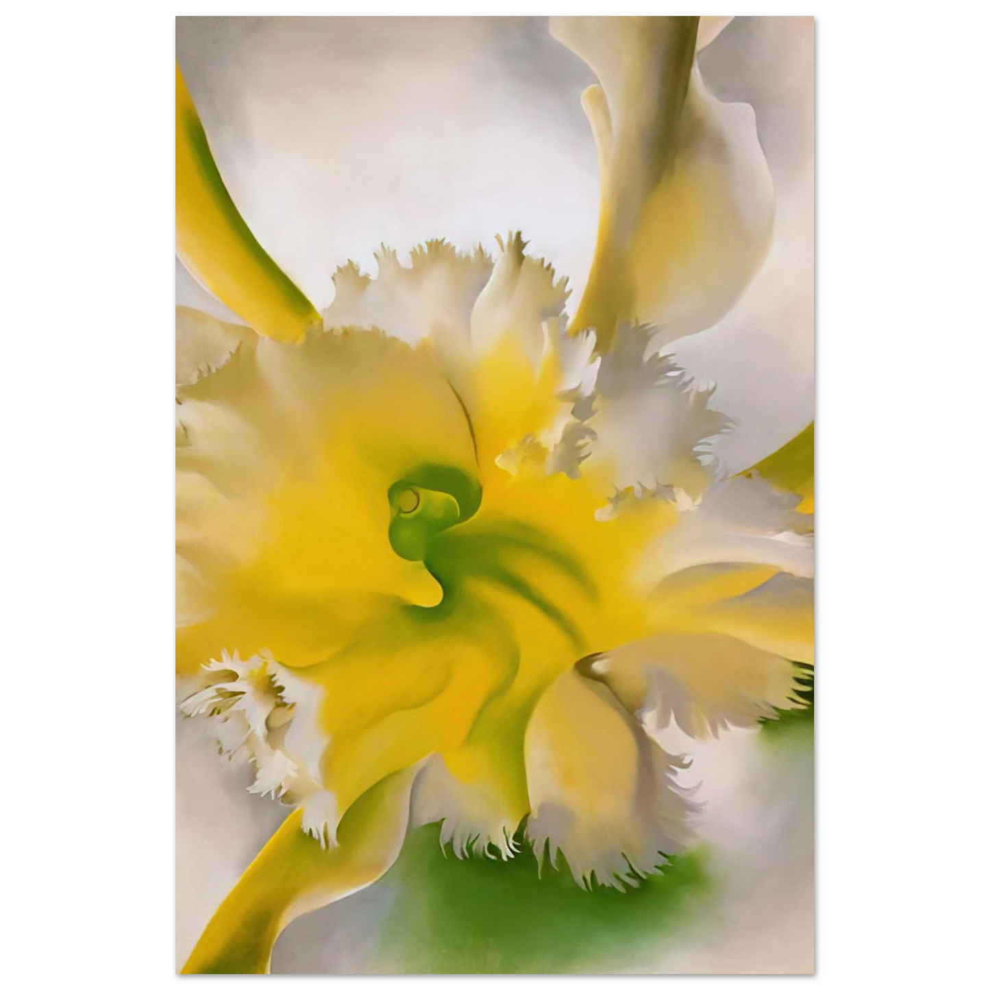 Georgia O'Keeffe - An Orchid Fine Art Poster - 40x60 cm / 16x24 inches