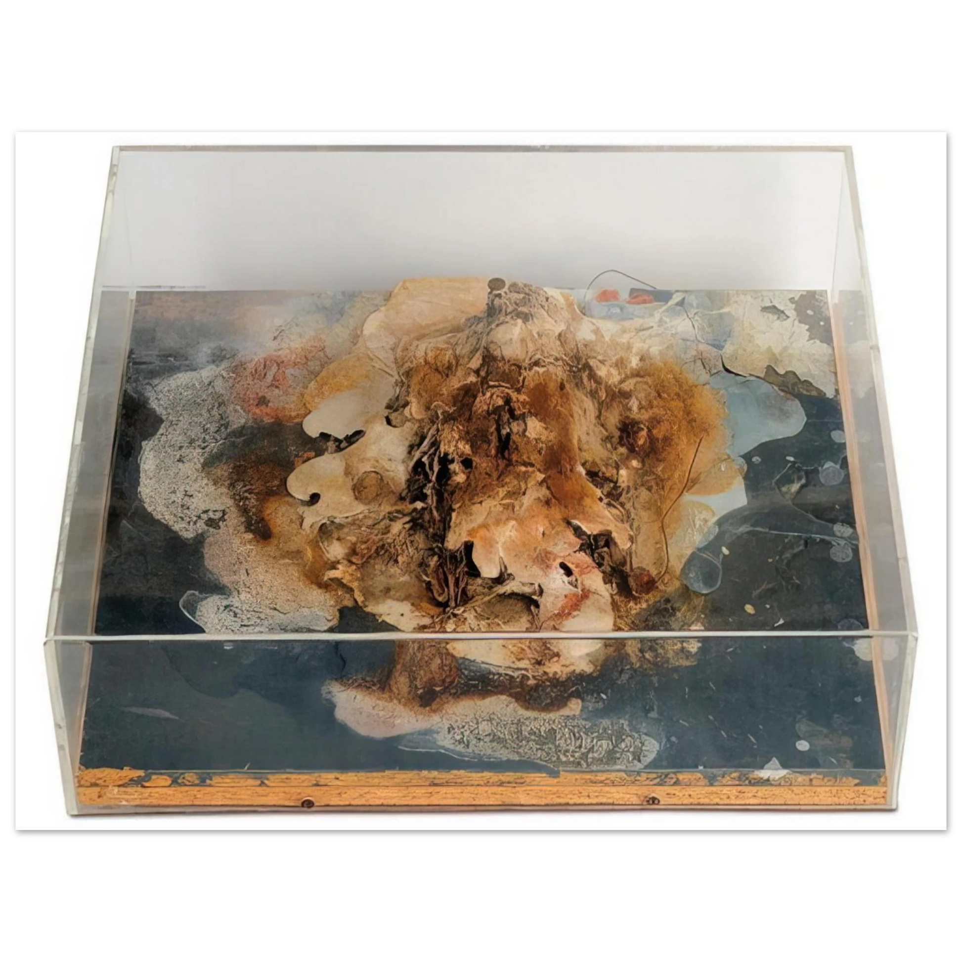 Dieter Roth - Small Island - 1968 Fine Art Poster - Default Title